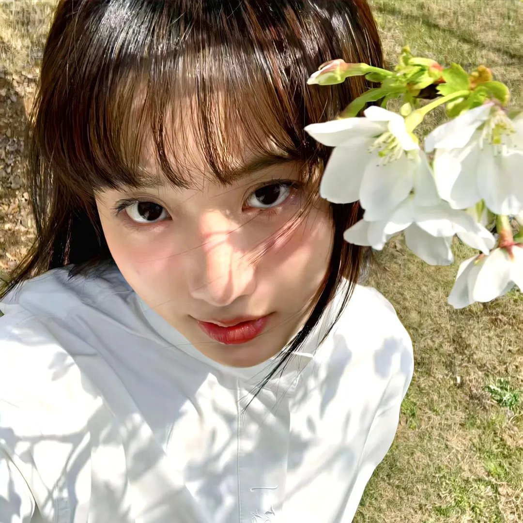 探查医秘